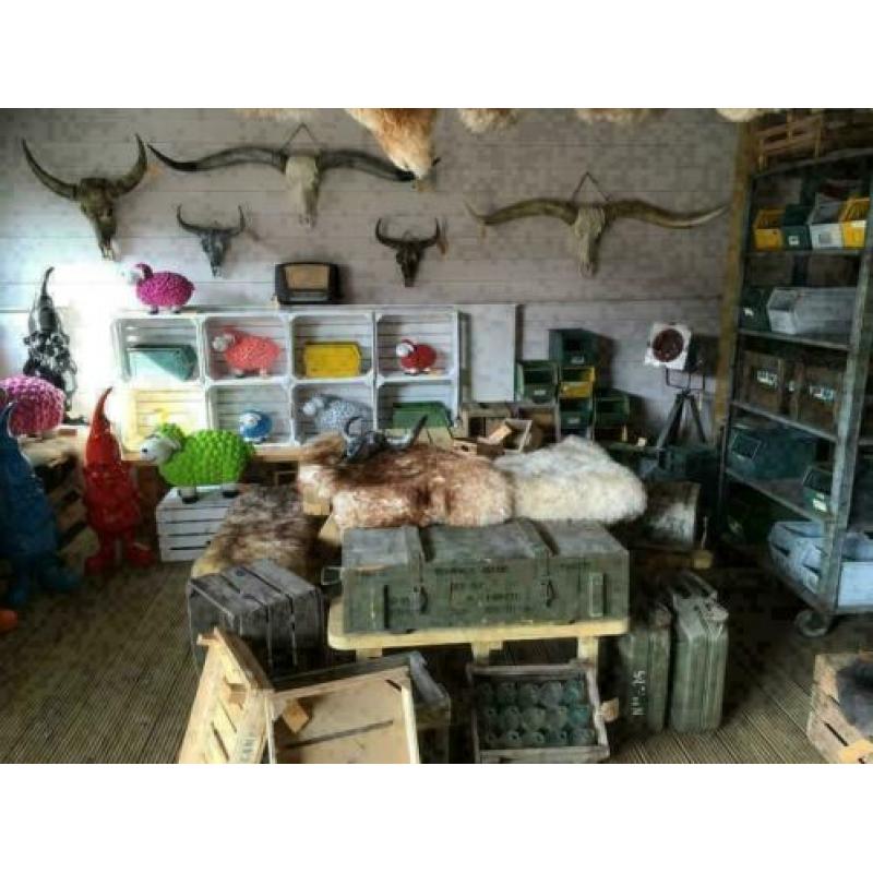 Schapen gekleurd ter decoratie ,leuk voor op kinderkamer e.d