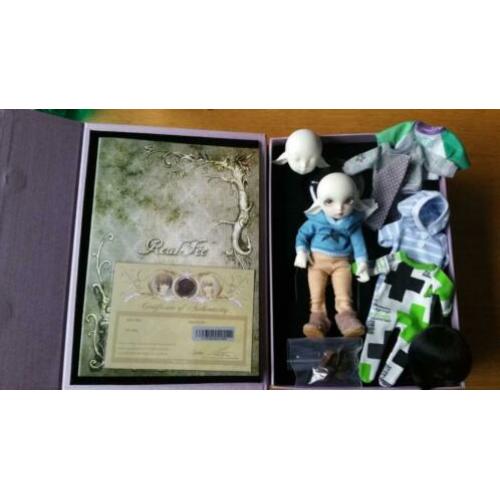 BJD Fairyland Realfee Luna in white skin (legit)
