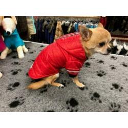 Hondenkleding, chihuahua, rode winterjas met capuchon