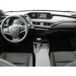 Lexus UX 250h Luxury Line Schuif-/kanteldak | Stoelverwarmin