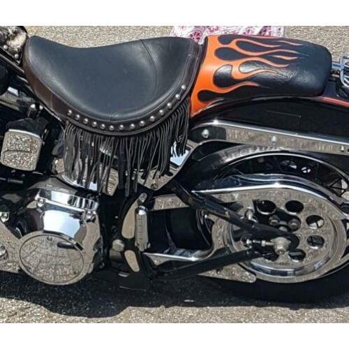 harley davidson softail mike corbin zadel