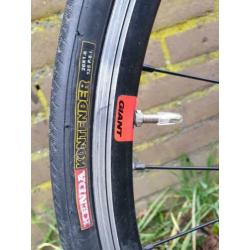 giant 26 inch