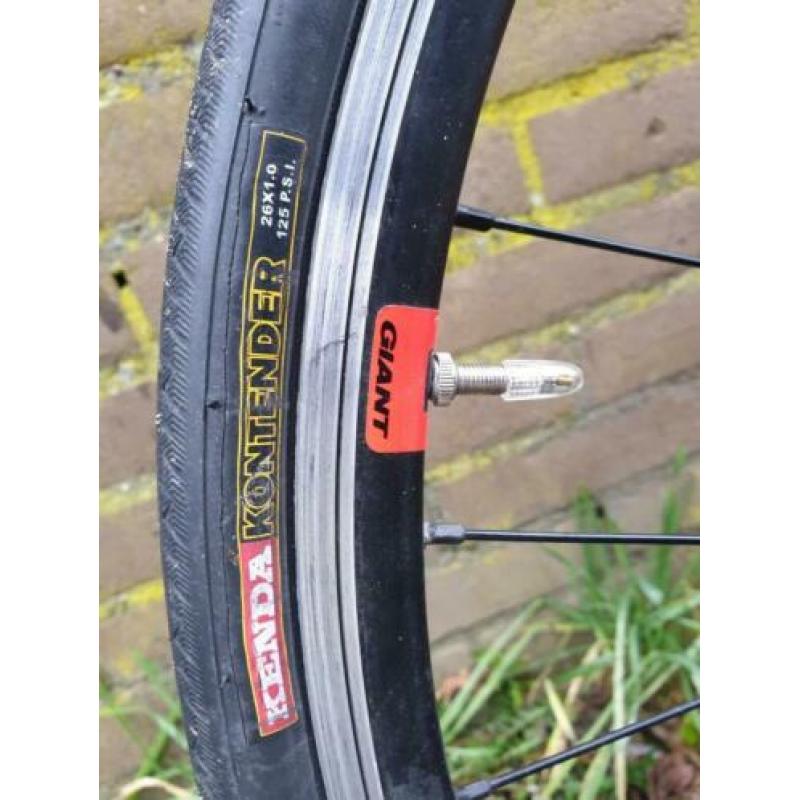 giant 26 inch