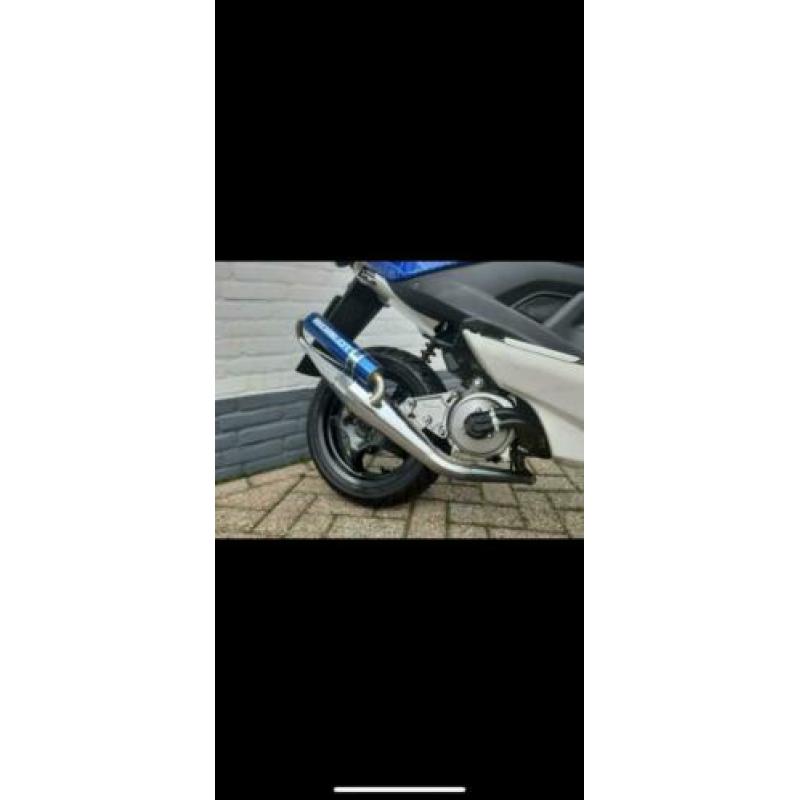 Special paint aerox 2003
