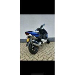 Special paint aerox 2003