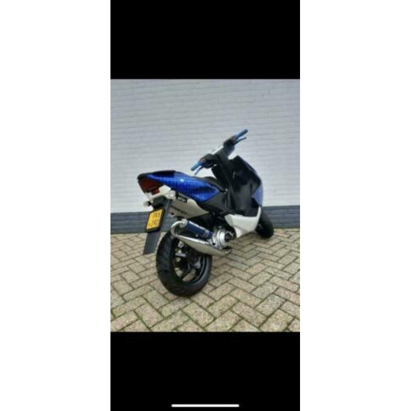 Special paint aerox 2003
