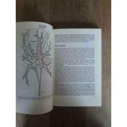 Het omega effect - G.R. Taylor