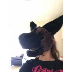 Fursuit herders hond ( gemaakt van dino masker!)