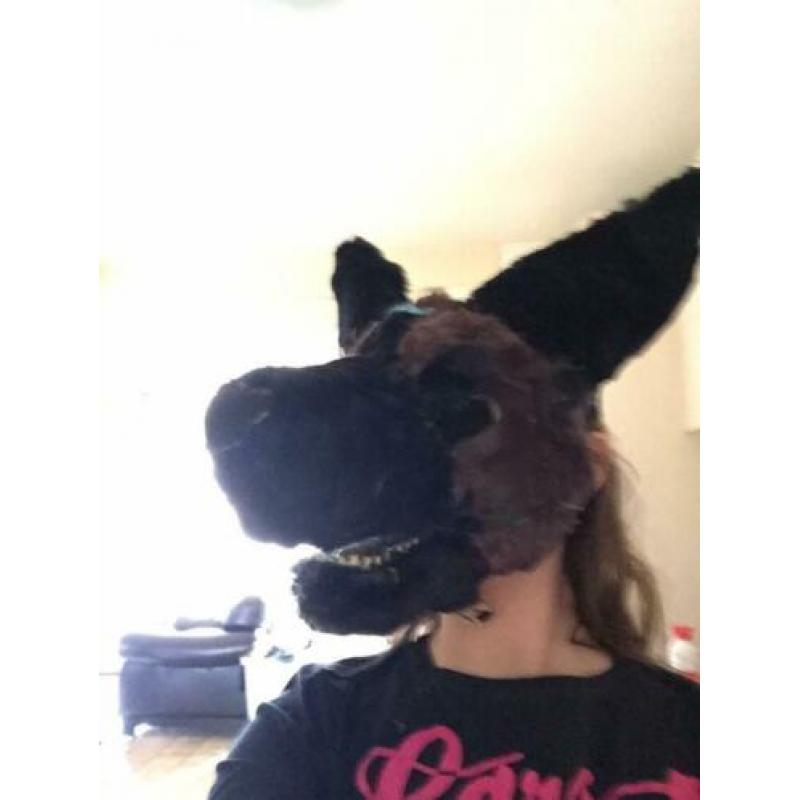 Fursuit herders hond ( gemaakt van dino masker!)