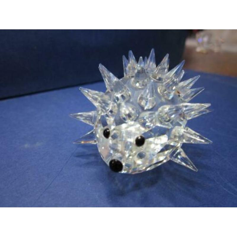 swarovski Egel middel, incl doos