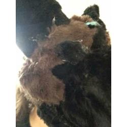 Fursuit herders hond ( gemaakt van dino masker!)