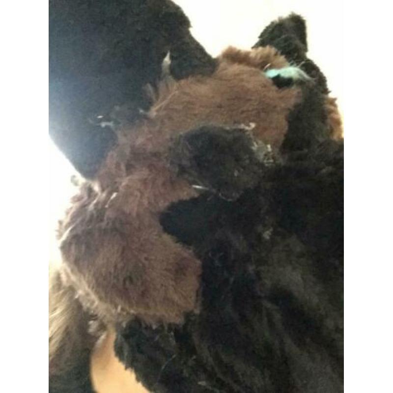 Fursuit herders hond ( gemaakt van dino masker!)