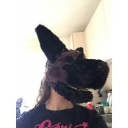 Fursuit herders hond ( gemaakt van dino masker!)