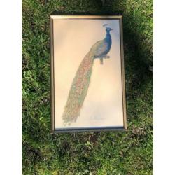 Schilderijen vogels