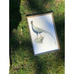 Schilderijen vogels