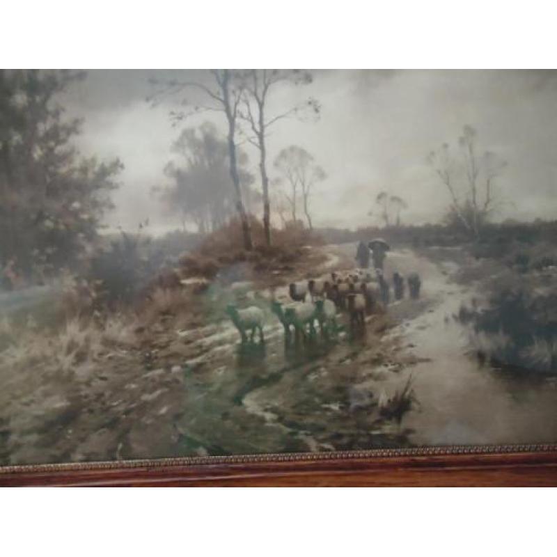 Heide schapen herders ect. +/- 1900