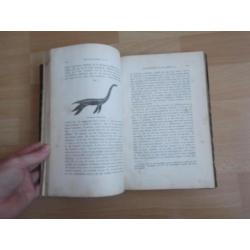 Album der natuur (1869)