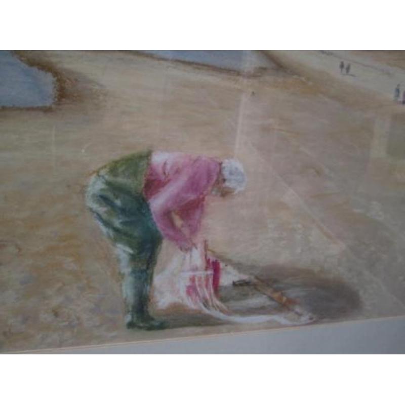 Prachtige Pastel Garnalenvisser Callantsoog Christa Hoek