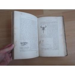 Album der natuur (1869)