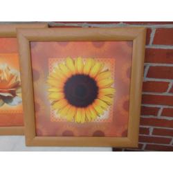 3x afbeelding van bloemen in een houten lijst zonder glas