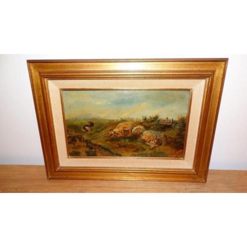 schapenschilderij op acajou paneel