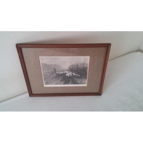 Ingelijste foto uit 1895 van herder met schaapskudde
