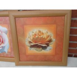 3x afbeelding van bloemen in een houten lijst zonder glas