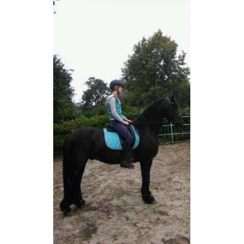 Lieve friese ruin