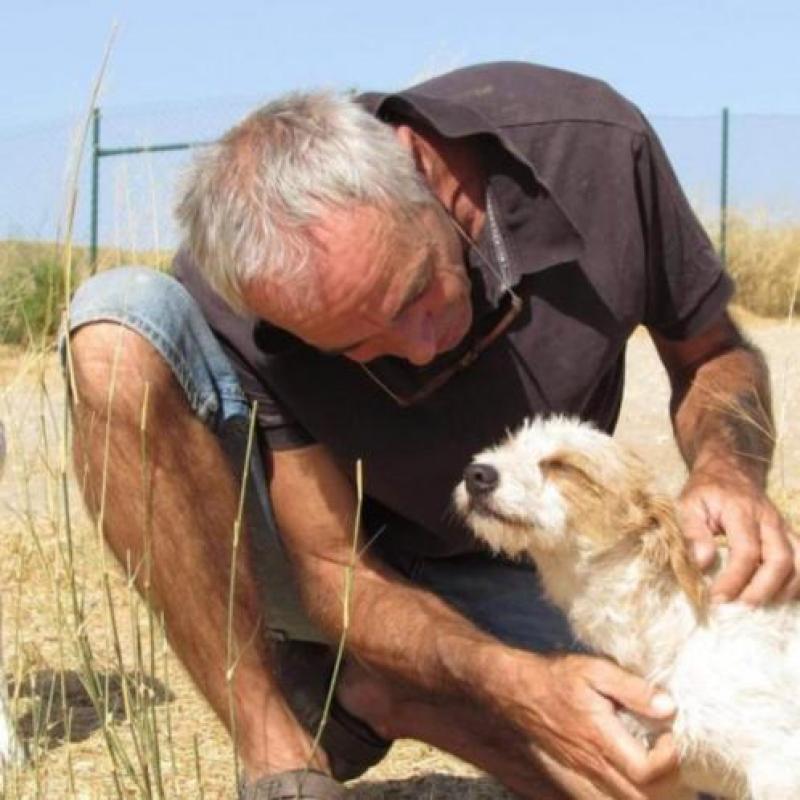 Kleine lieve knuffel Moemoe zoekt een gouden mandje