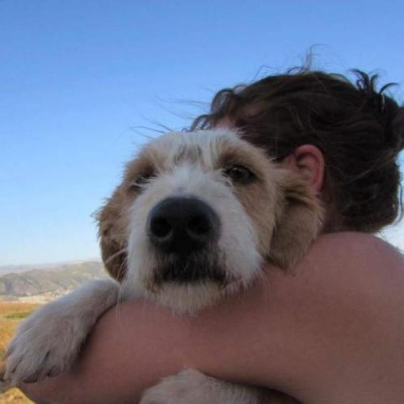 Kleine lieve knuffel Moemoe zoekt een gouden mandje