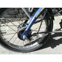 Batavus vice versa