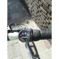 Batavus vice versa