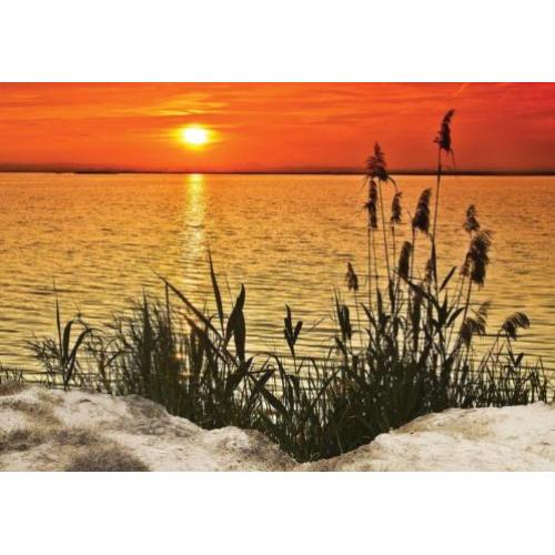 Zonsondergang fotobehang gras