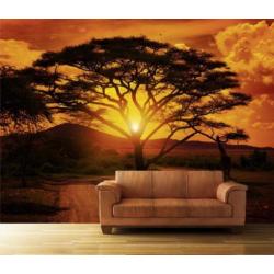 001 African Sunset Behang 300x210 Savanne Fotobehang