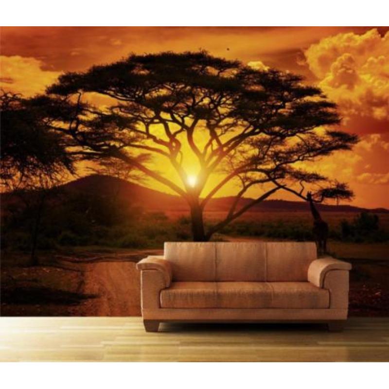 001 African Sunset Behang 300x210 Savanne Fotobehang