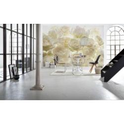 Witte Rozen Bloemen Fotobehang Vliesbehang 368×248 XXL4-00