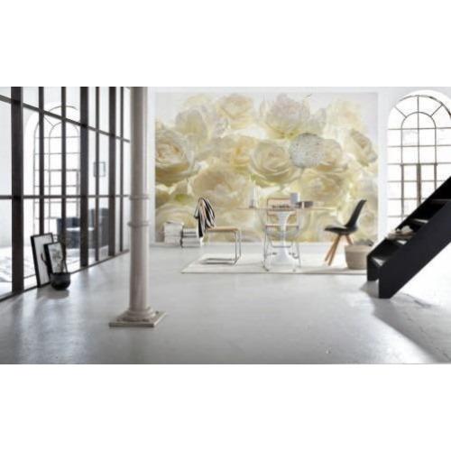 Witte Rozen Bloemen Fotobehang Vliesbehang 368×248 XXL4-00
