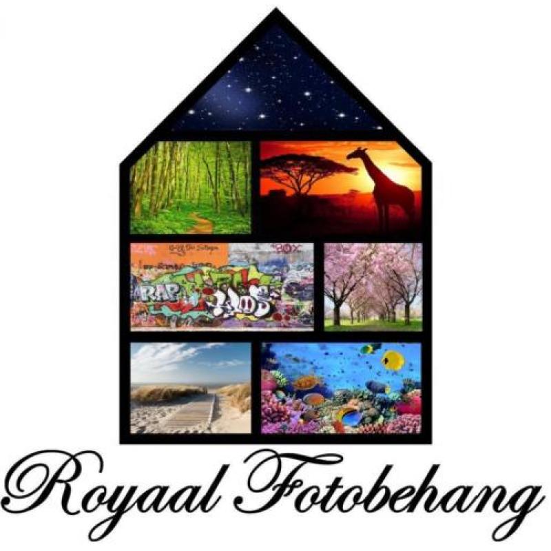 Witte Rozen Bloemen Fotobehang Vliesbehang 368×248 XXL4-00