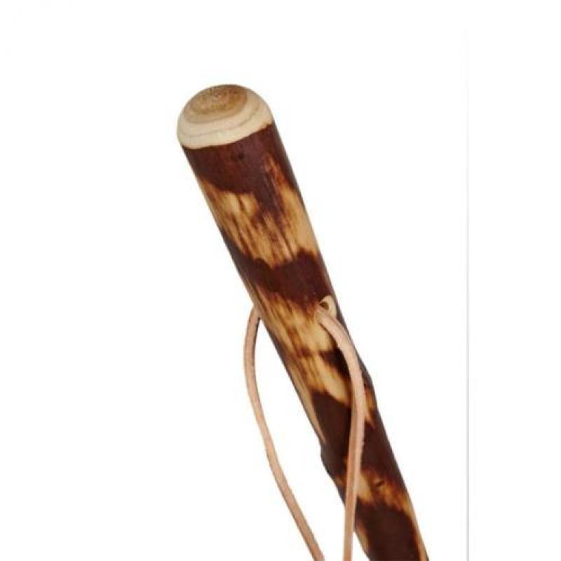 Wandelstokken, stokpunt, rubber dop