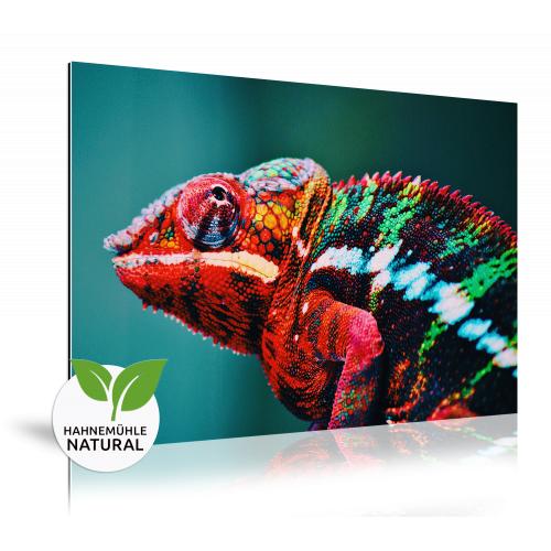 Fine Art op dibond Hahnemuhle Hemp 50x70